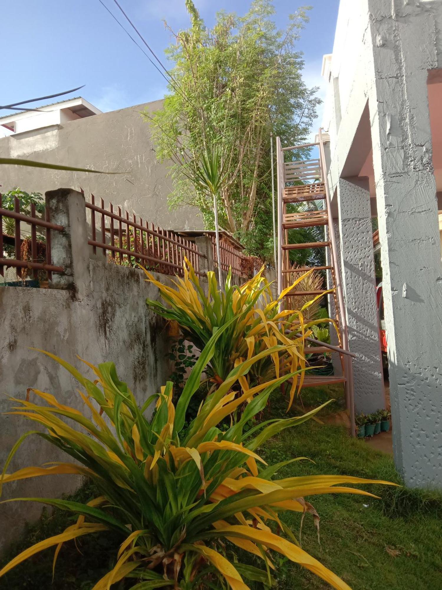 Friz Love Room Rental San Juan  Eksteriør bilde